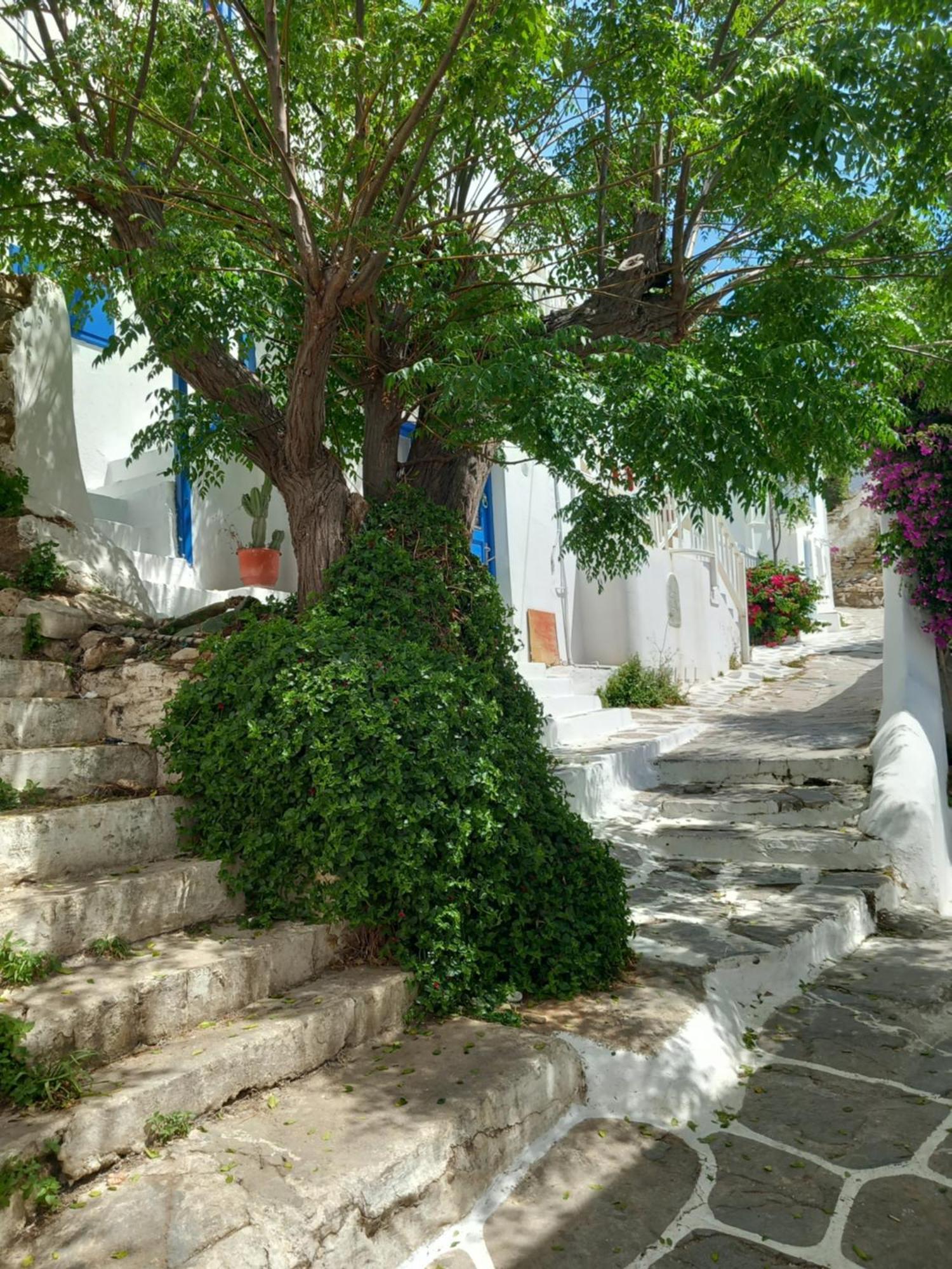 Alex Oldtown Sea View Rooms And Appartments Mykonos Town Luaran gambar